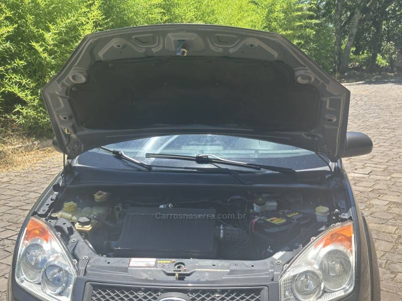 FORD - FIESTA - 2009/2010 - Cinza - R$ 29.900,00